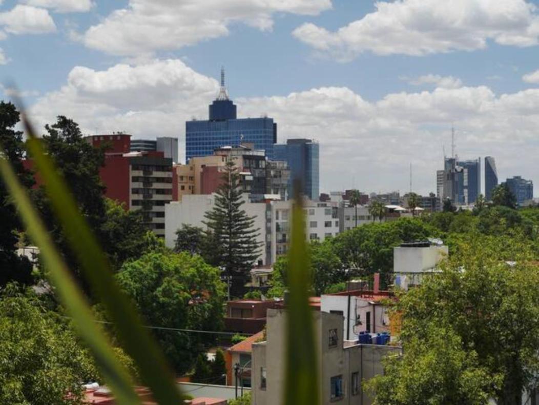 Pequena Habitacion Frida - Design Cdmx - Areas Comunes Compartidas 멕시코 시 외부 사진